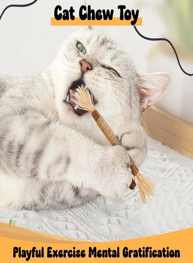 Homeaura Silvervine Cat Toy - 1 Pack, Natural Matatabi Sticks for Indoor Cats, Kitten Chew Toys, Aggressive Chewers, Dental Toy for Kitten Teeth Cleaning - Image 2